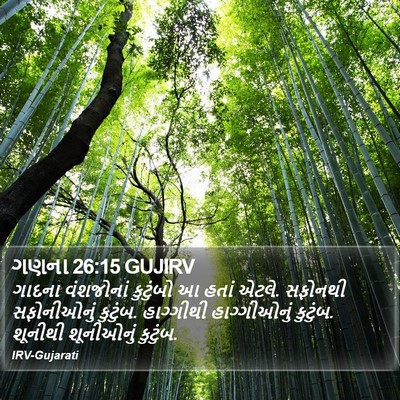 ગણના 26:15 GUJIRV Bible Verse Image