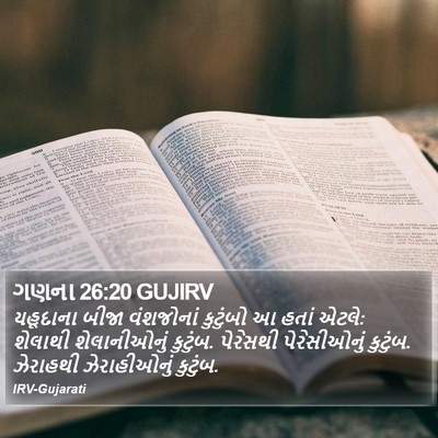 ગણના 26:20 GUJIRV Bible Verse Image