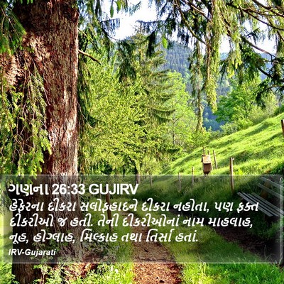 ગણના 26:33 GUJIRV Bible Verse Image