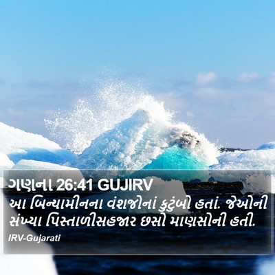ગણના 26:41 GUJIRV Bible Verse Image