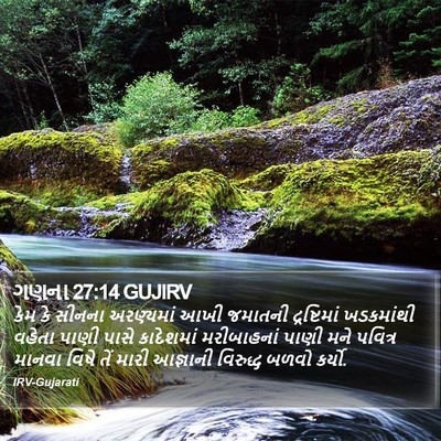 ગણના 27:14 GUJIRV Bible Verse Image