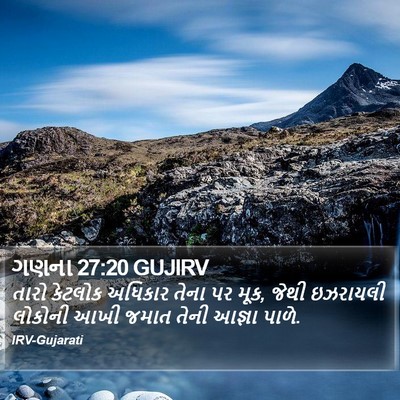ગણના 27:20 GUJIRV Bible Verse Image