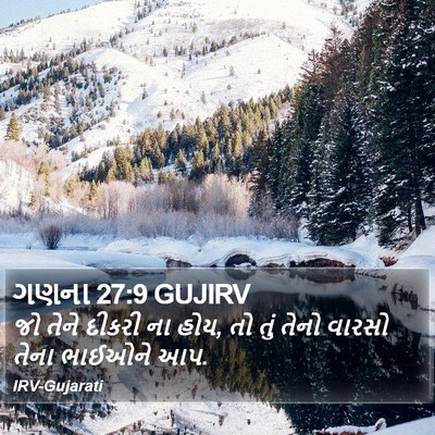 ગણના 27:9 GUJIRV Bible Verse Image