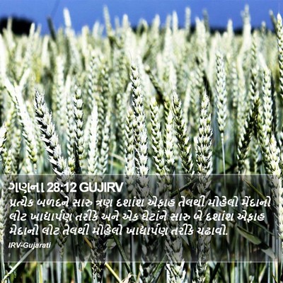 ગણના 28:12 GUJIRV Bible Verse Image