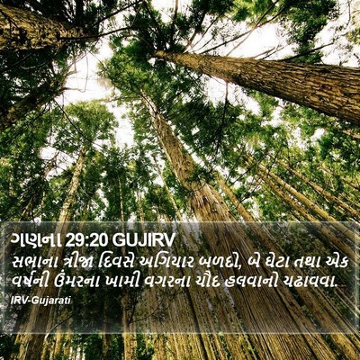 ગણના 29:20 GUJIRV Bible Verse Image