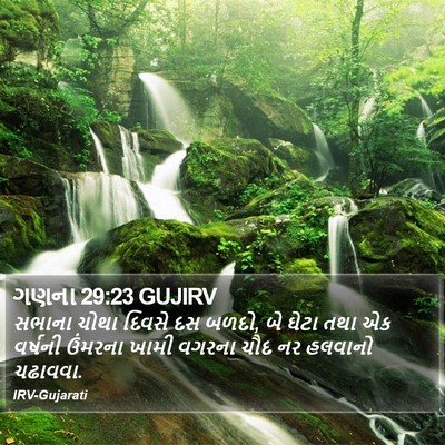 ગણના 29:23 GUJIRV Bible Verse Image