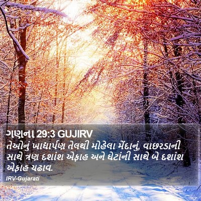 ગણના 29:3 GUJIRV Bible Verse Image