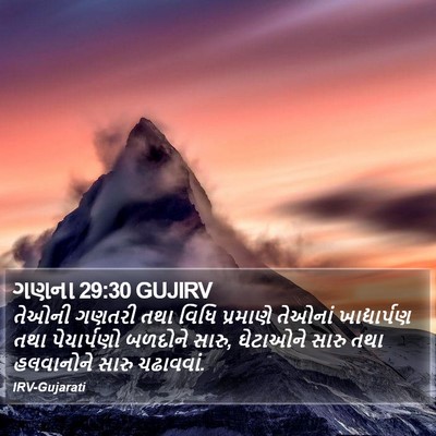 ગણના 29:30 GUJIRV Bible Verse Image