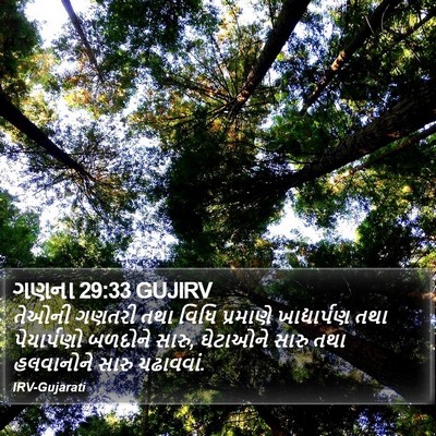 ગણના 29:33 GUJIRV Bible Verse Image