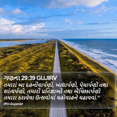 ગણના 29:39 GUJIRV Bible Verse Image