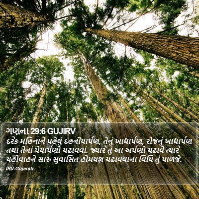 ગણના 29:6 GUJIRV Bible Verse Image