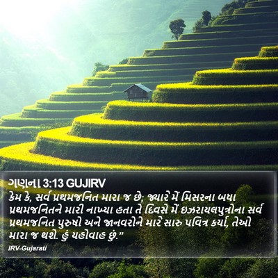 ગણના 3:13 GUJIRV Bible Verse Image
