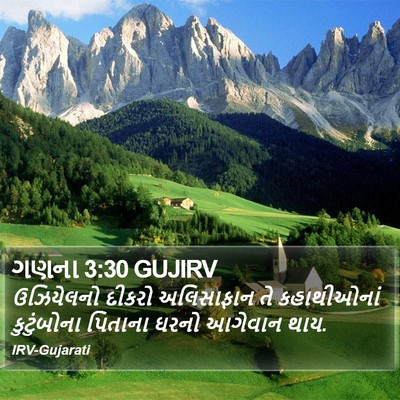 ગણના 3:30 GUJIRV Bible Verse Image