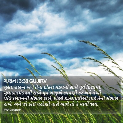 ગણના 3:38 GUJIRV Bible Verse Image