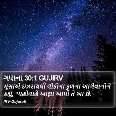 ગણના 30:1 GUJIRV Bible Verse Image