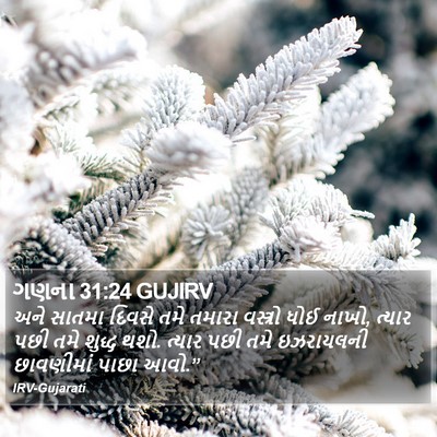 ગણના 31:24 GUJIRV Bible Verse Image