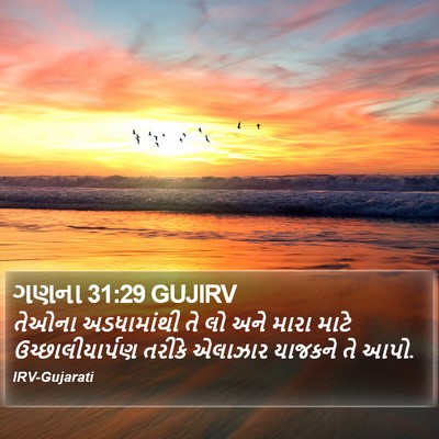 ગણના 31:29 GUJIRV Bible Verse Image