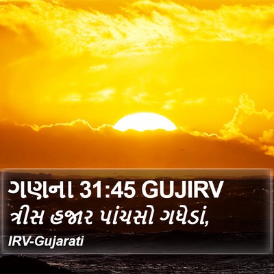 ગણના 31:45 GUJIRV Bible Verse Image