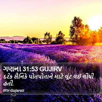 ગણના 31:53 GUJIRV Bible Verse Image
