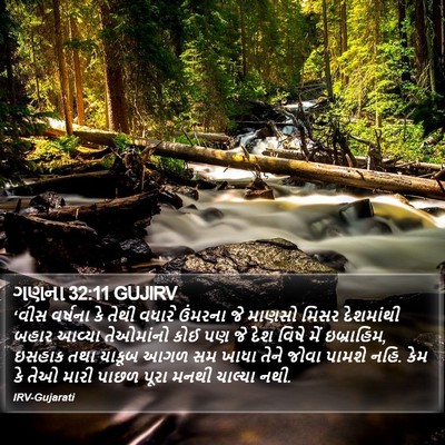 ગણના 32:11 GUJIRV Bible Verse Image