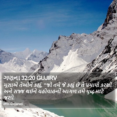 ગણના 32:20 GUJIRV Bible Verse Image