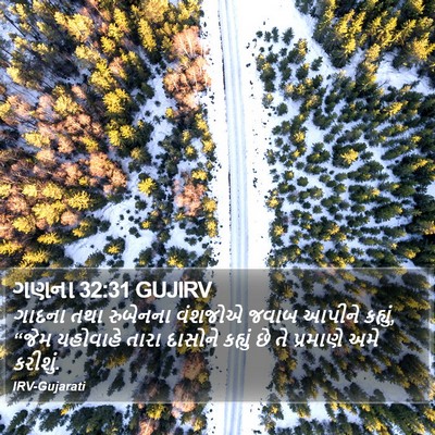 ગણના 32:31 GUJIRV Bible Verse Image