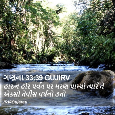 ગણના 33:39 GUJIRV Bible Verse Image
