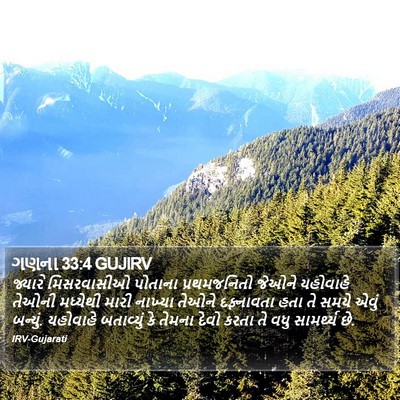 ગણના 33:4 GUJIRV Bible Verse Image