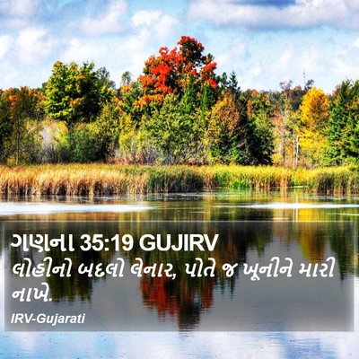 ગણના 35:19 GUJIRV Bible Verse Image