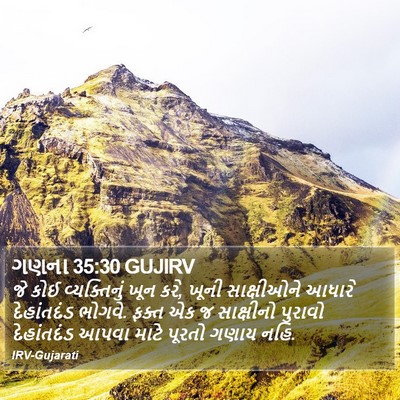 ગણના 35:30 GUJIRV Bible Verse Image