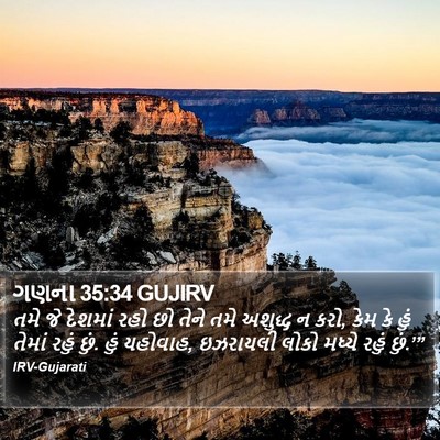 ગણના 35:34 GUJIRV Bible Verse Image
