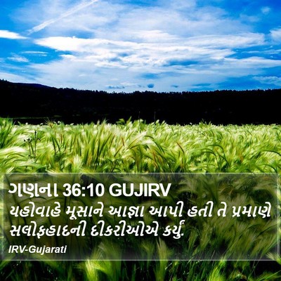 ગણના 36:10 GUJIRV Bible Verse Image