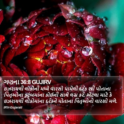 ગણના 36:8 GUJIRV Bible Verse Image