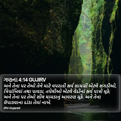 ગણના 4:14 GUJIRV Bible Verse Image