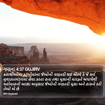 ગણના 4:37 GUJIRV Bible Verse Image