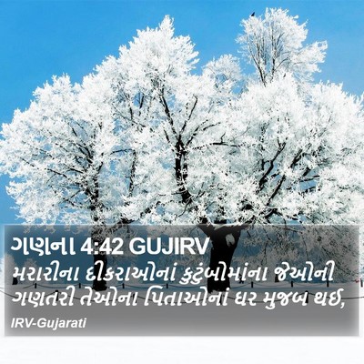 ગણના 4:42 GUJIRV Bible Verse Image