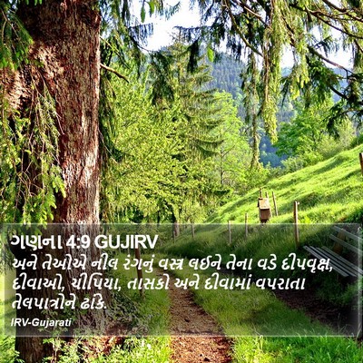 ગણના 4:9 GUJIRV Bible Verse Image