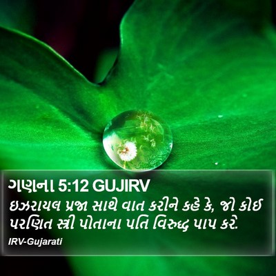 ગણના 5:12 GUJIRV Bible Verse Image