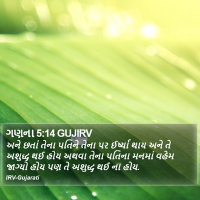 ગણના 5:14 GUJIRV Bible Verse Image