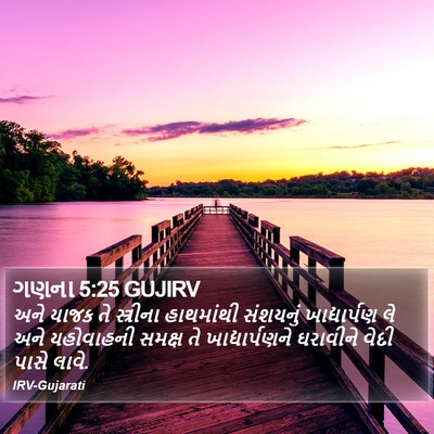 ગણના 5:25 GUJIRV Bible Verse Image