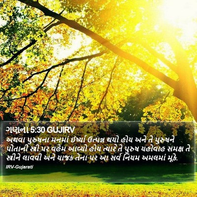 ગણના 5:30 GUJIRV Bible Verse Image