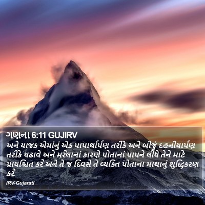 ગણના 6:11 GUJIRV Bible Verse Image