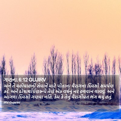 ગણના 6:12 GUJIRV Bible Verse Image