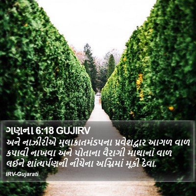ગણના 6:18 GUJIRV Bible Verse Image