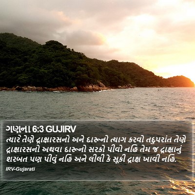 ગણના 6:3 GUJIRV Bible Verse Image
