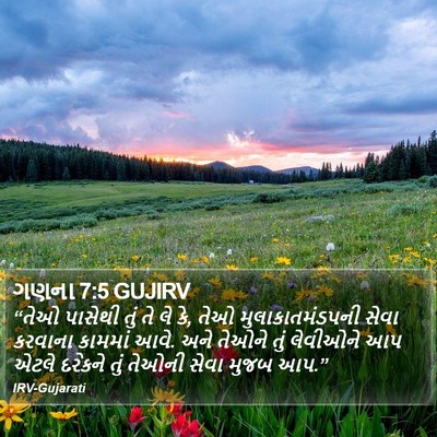 ગણના 7:5 GUJIRV Bible Verse Image