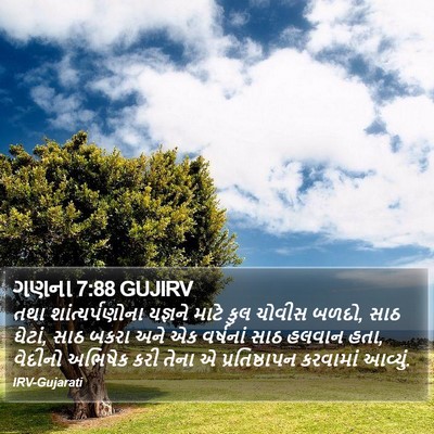 ગણના 7:88 GUJIRV Bible Verse Image