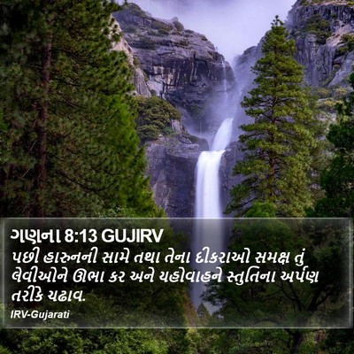 ગણના 8:13 GUJIRV Bible Verse Image