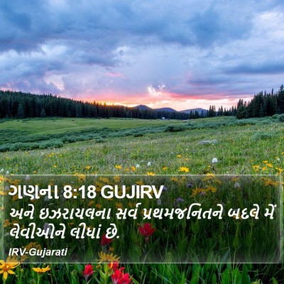ગણના 8:18 GUJIRV Bible Verse Image