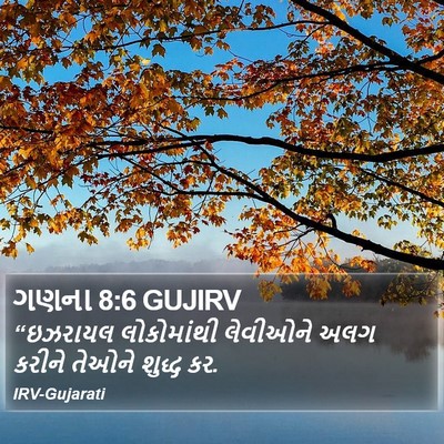ગણના 8:6 GUJIRV Bible Verse Image